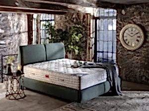 ALBERO viscoplus 1024x768 2